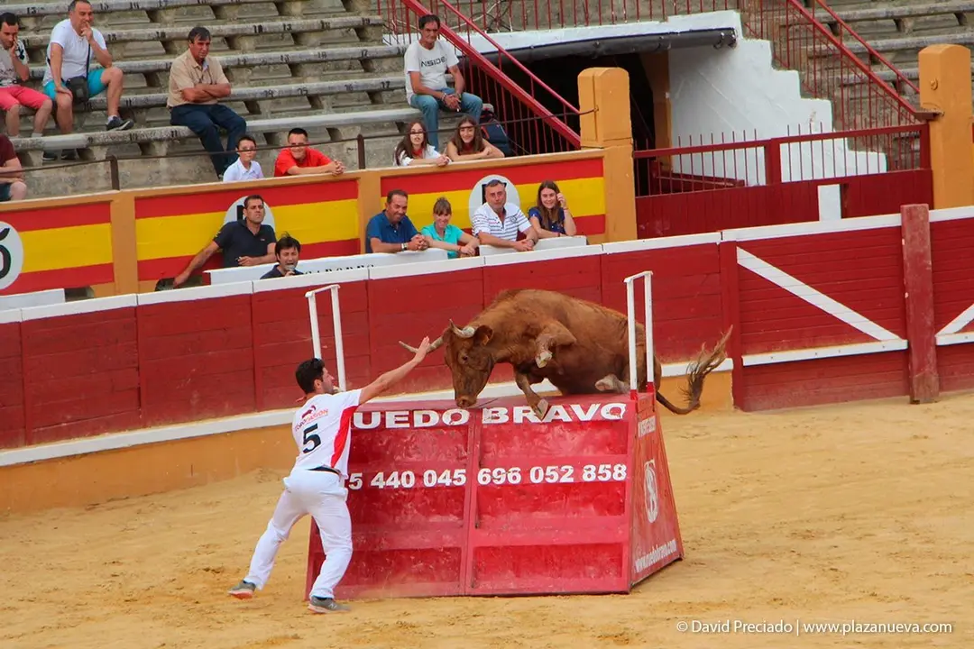 Fiestas de Tudela &rsquo;19, d&iacute;a 26 - Exhibici&oacute;n de bravura Arriazu 5