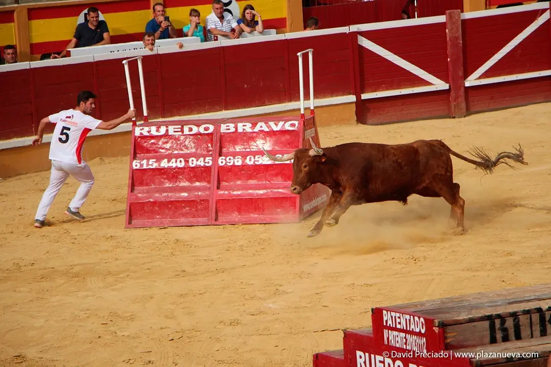 Fiestas de Tudela &rsquo;19, d&iacute;a 26 - Exhibici&oacute;n de bravura Arriazu 7