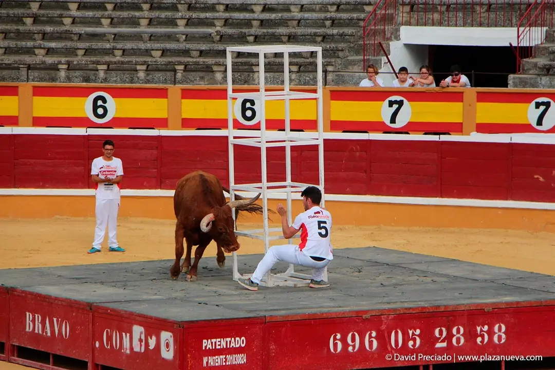 Fiestas de Tudela &rsquo;19, d&iacute;a 26 - Exhibici&oacute;n de bravura Arriazu 8