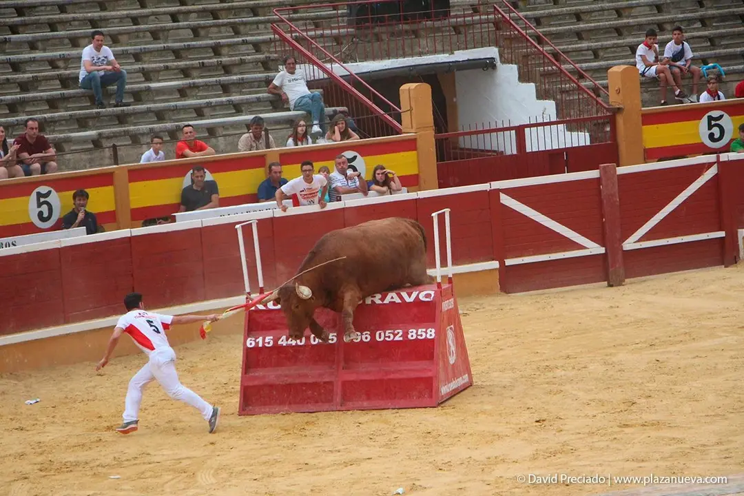 Fiestas de Tudela &rsquo;19, d&iacute;a 26 - Exhibici&oacute;n de bravura Arriazu 9