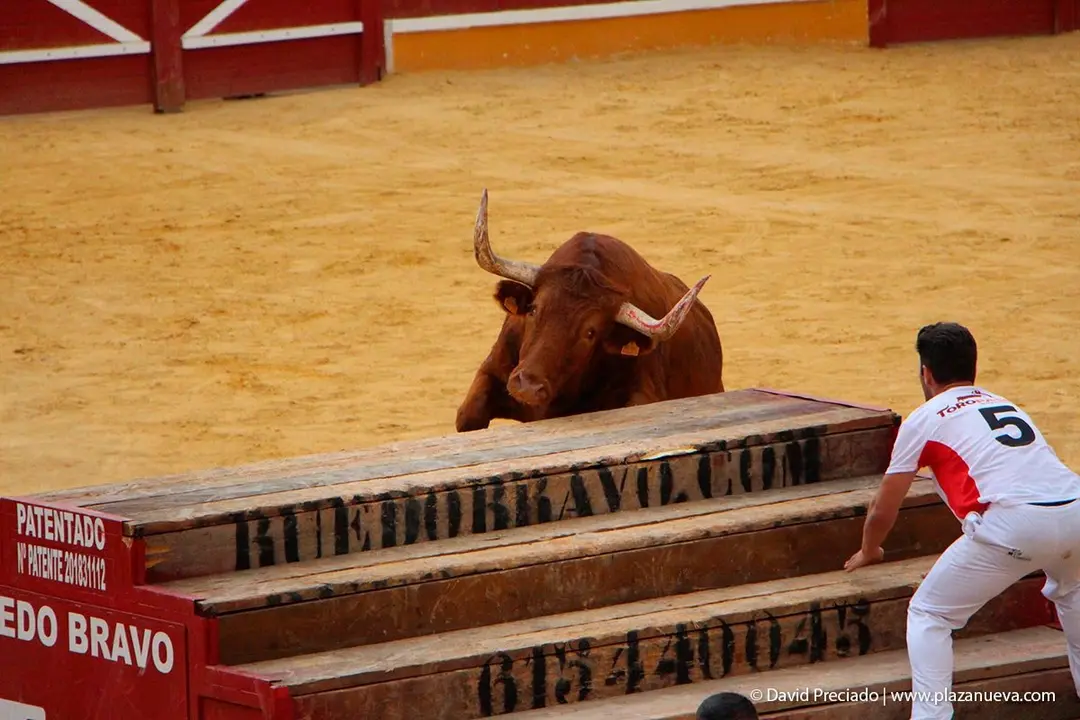 Fiestas de Tudela &rsquo;19, d&iacute;a 26 - Exhibici&oacute;n de bravura Arriazu 11