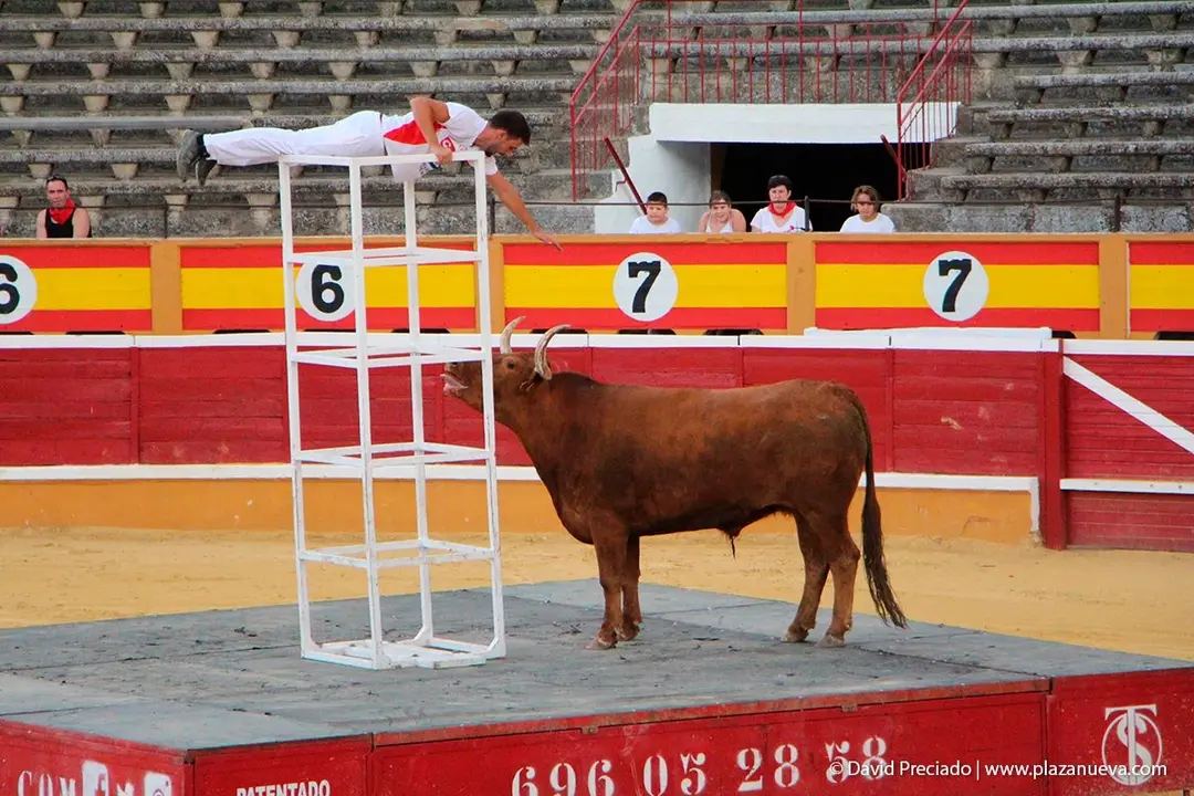 Fiestas de Tudela &rsquo;19, d&iacute;a 26 - Exhibici&oacute;n de bravura Arriazu 12