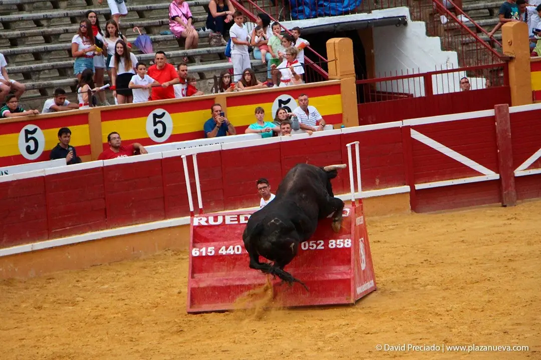 Fiestas de Tudela &rsquo;19, d&iacute;a 26 - Exhibici&oacute;n de bravura Arriazu 13
