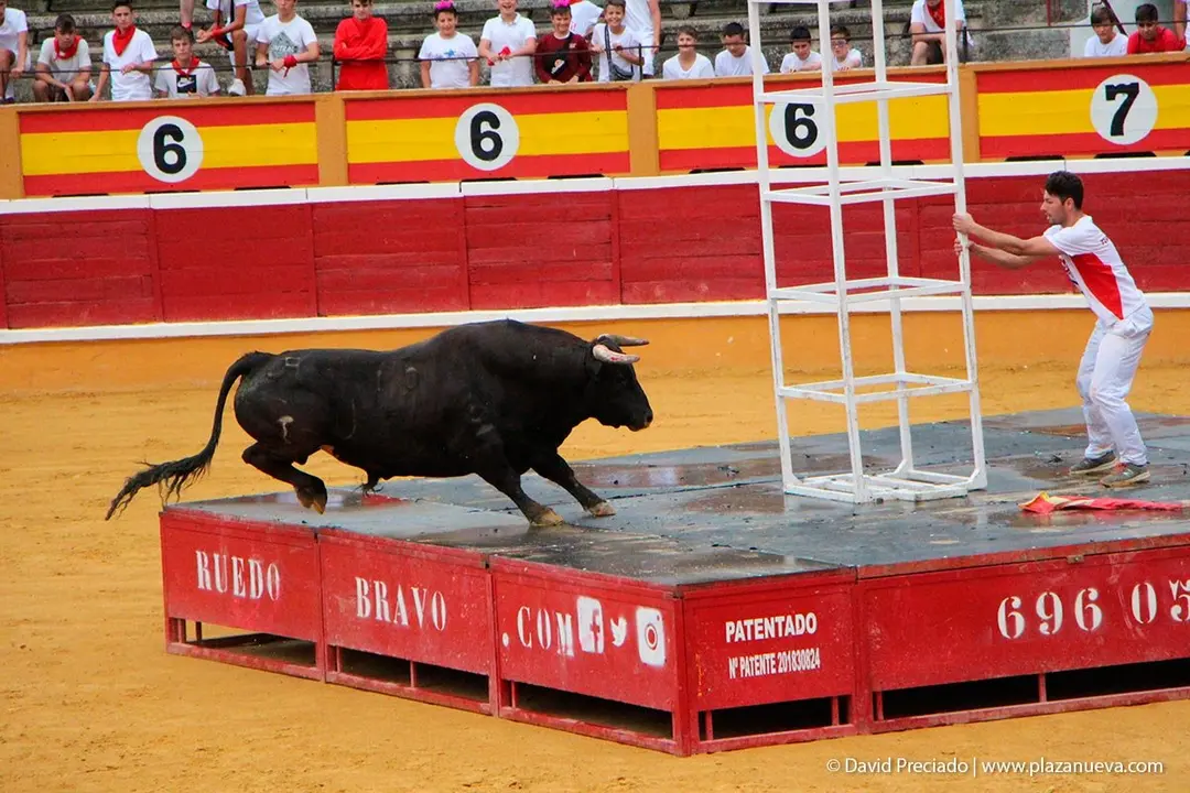 Fiestas de Tudela &rsquo;19, d&iacute;a 26 - Exhibici&oacute;n de bravura Arriazu 14