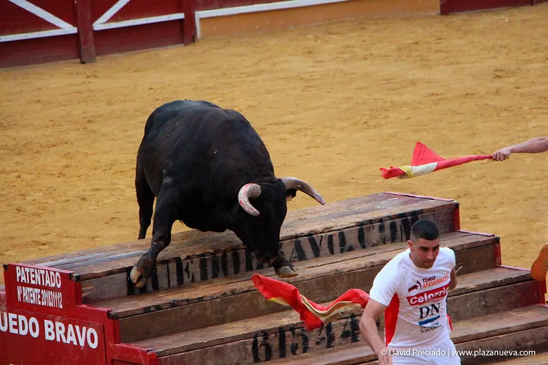Fiestas de Tudela &rsquo;19, d&iacute;a 26 - Exhibici&oacute;n de bravura Arriazu 15