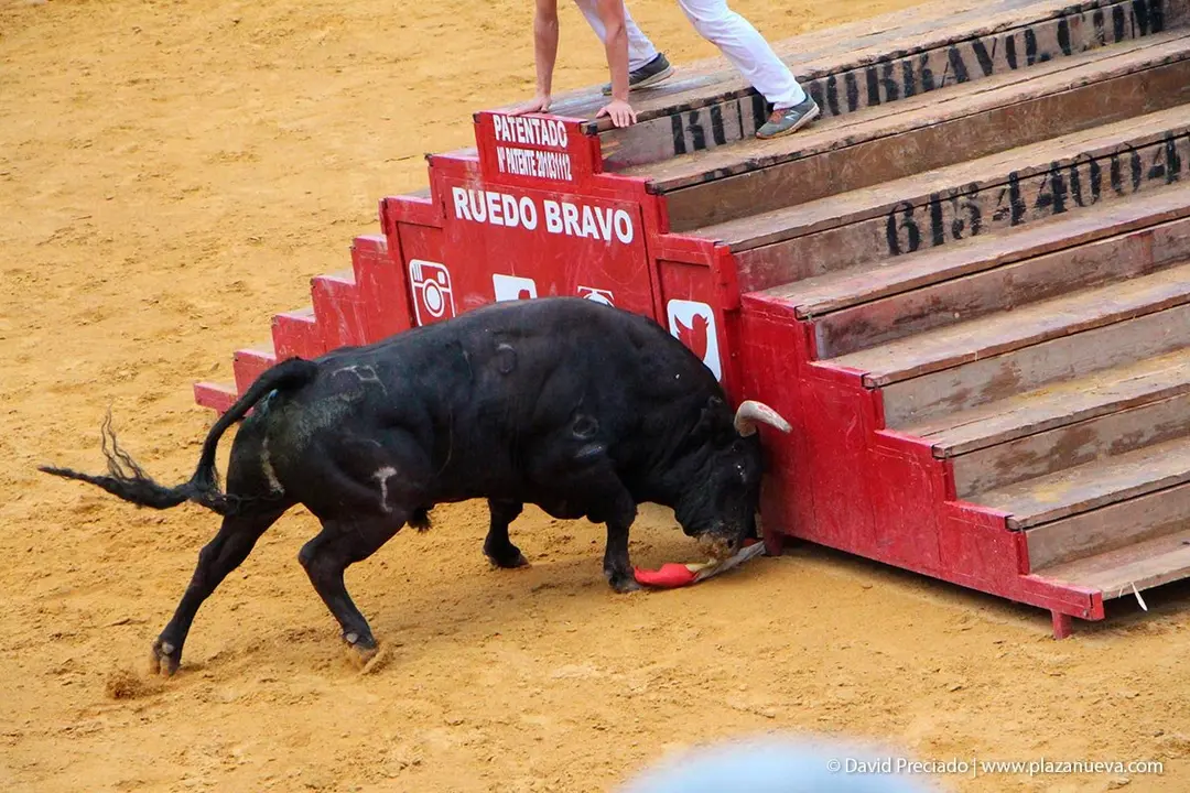 Fiestas de Tudela &rsquo;19, d&iacute;a 26 - Exhibici&oacute;n de bravura Arriazu 16