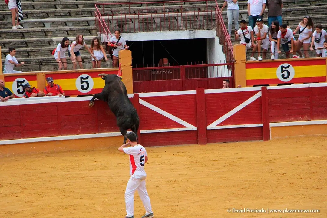 Fiestas de Tudela &rsquo;19, d&iacute;a 26 - Exhibici&oacute;n de bravura Arriazu 17