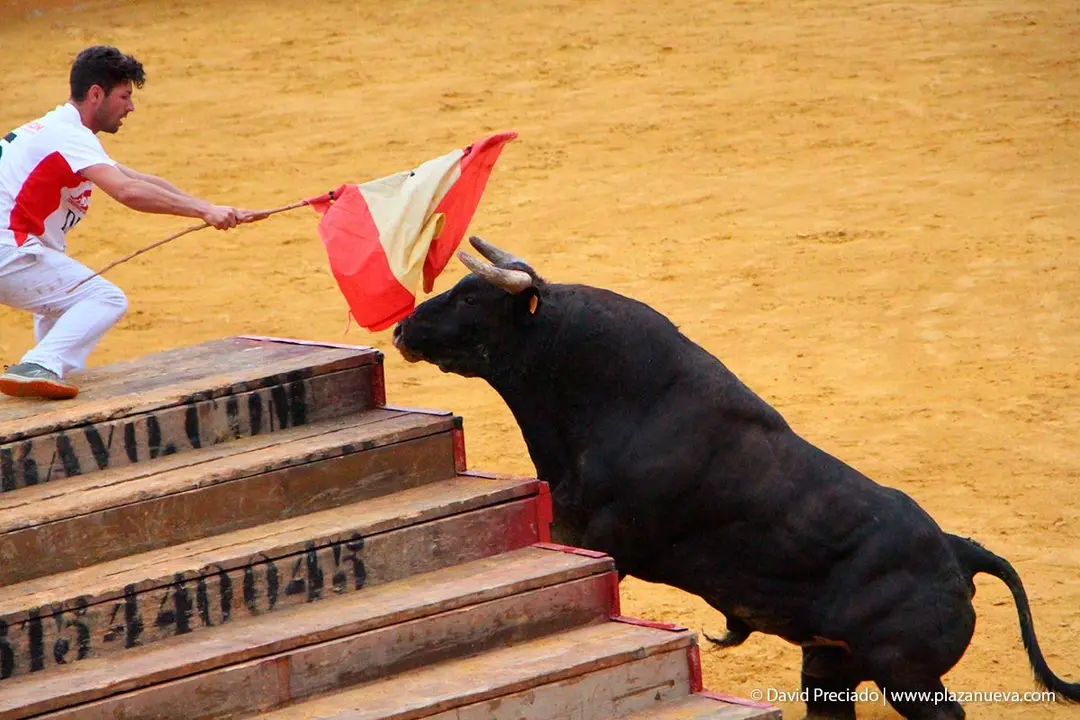 Fiestas de Tudela &rsquo;19, d&iacute;a 26 - Exhibici&oacute;n de bravura Arriazu 18