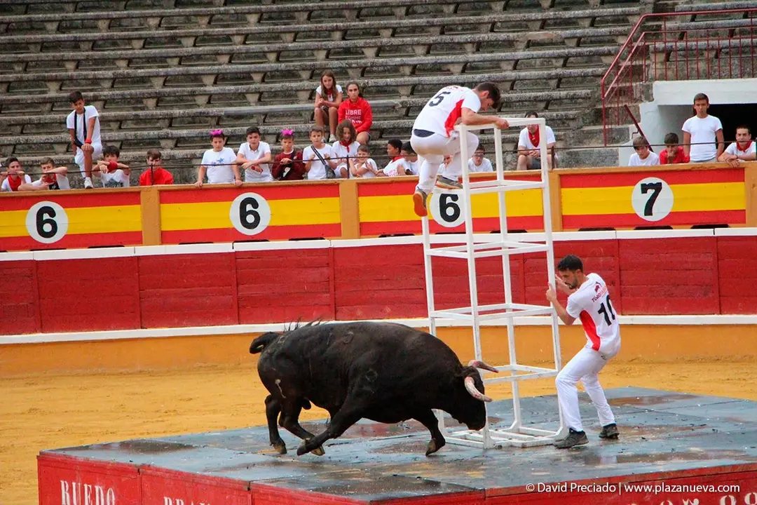 Fiestas de Tudela &rsquo;19, d&iacute;a 26 - Exhibici&oacute;n de bravura Arriazu 19