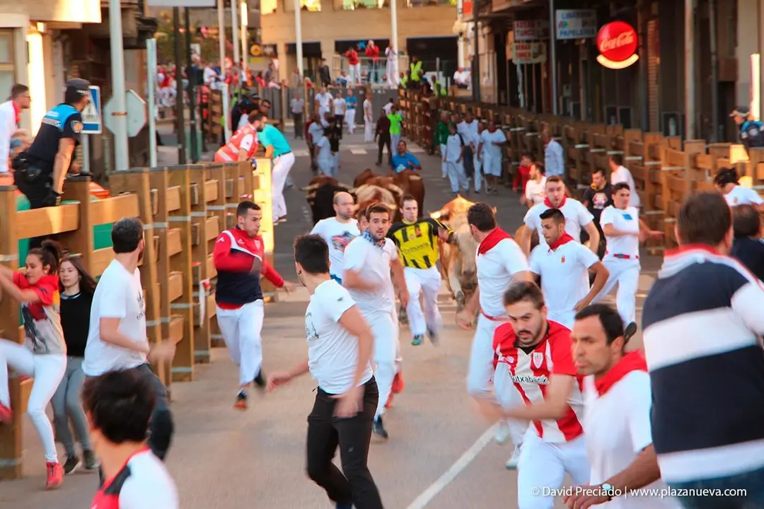 Fiestas de Tudela &rsquo;19, d&iacute;a 29 - Encierro y vacas en la plaza 3