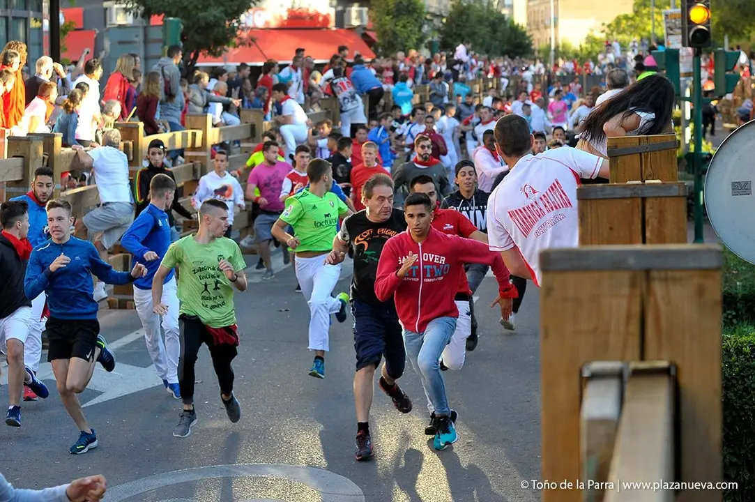 Fiestas de Tudela &rsquo;19, d&iacute;a 29 - Encierro y vacas en la plaza 7