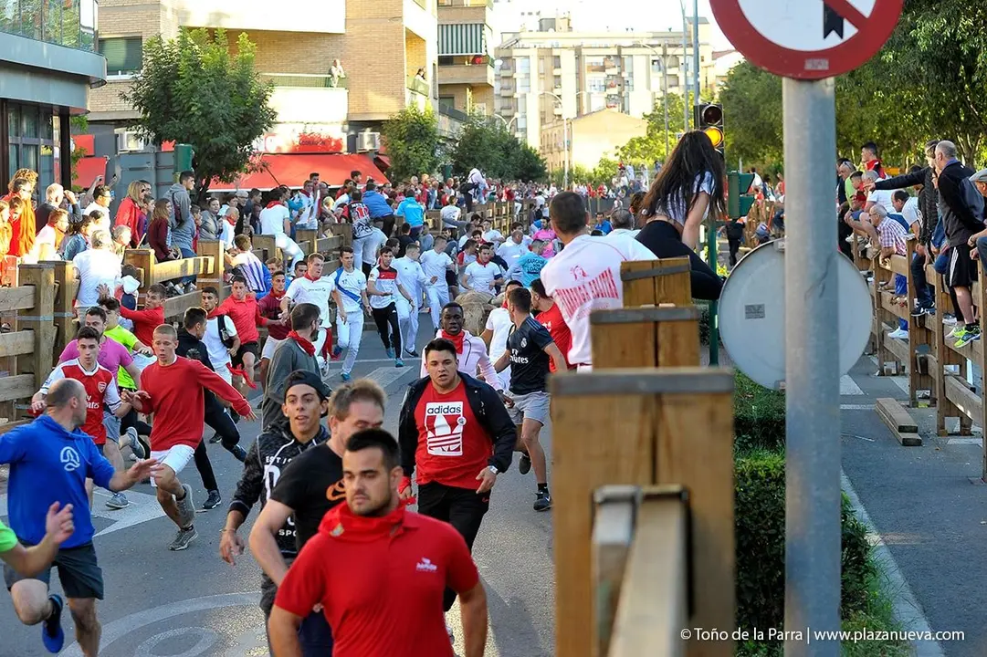 Fiestas de Tudela &rsquo;19, d&iacute;a 29 - Encierro y vacas en la plaza 8