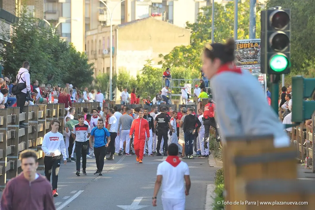 Fiestas de Tudela &rsquo;19, d&iacute;a 29 - Encierro y vacas en la plaza 12