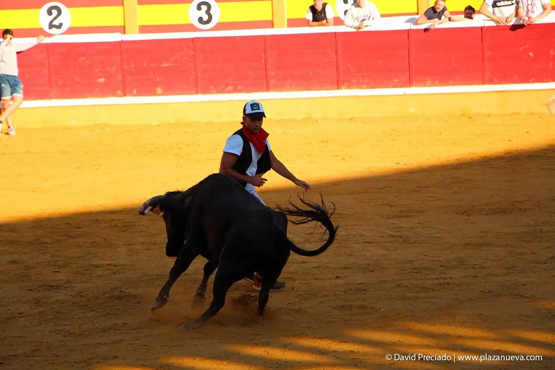 Fiestas de Tudela &rsquo;19, d&iacute;a 29 - Encierro y vacas en la plaza 27