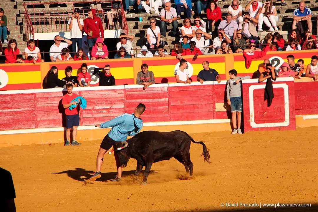 Fiestas de Tudela &rsquo;19, d&iacute;a 29 - Encierro y vacas en la plaza 28