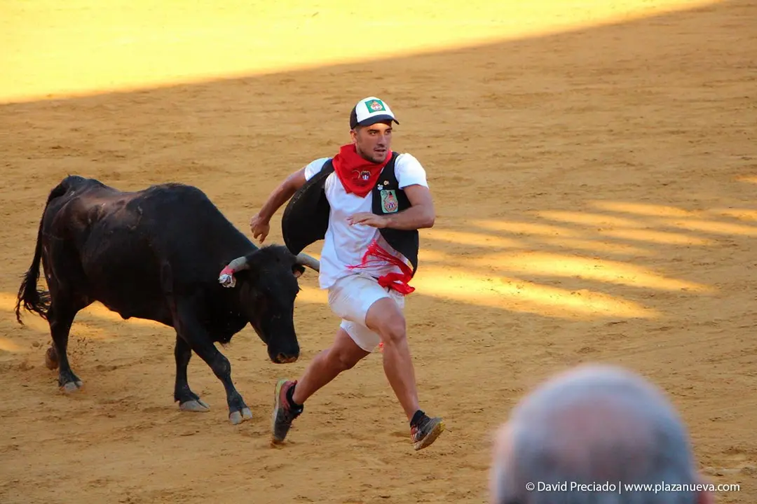 Fiestas de Tudela &rsquo;19, d&iacute;a 29 - Encierro y vacas en la plaza 30