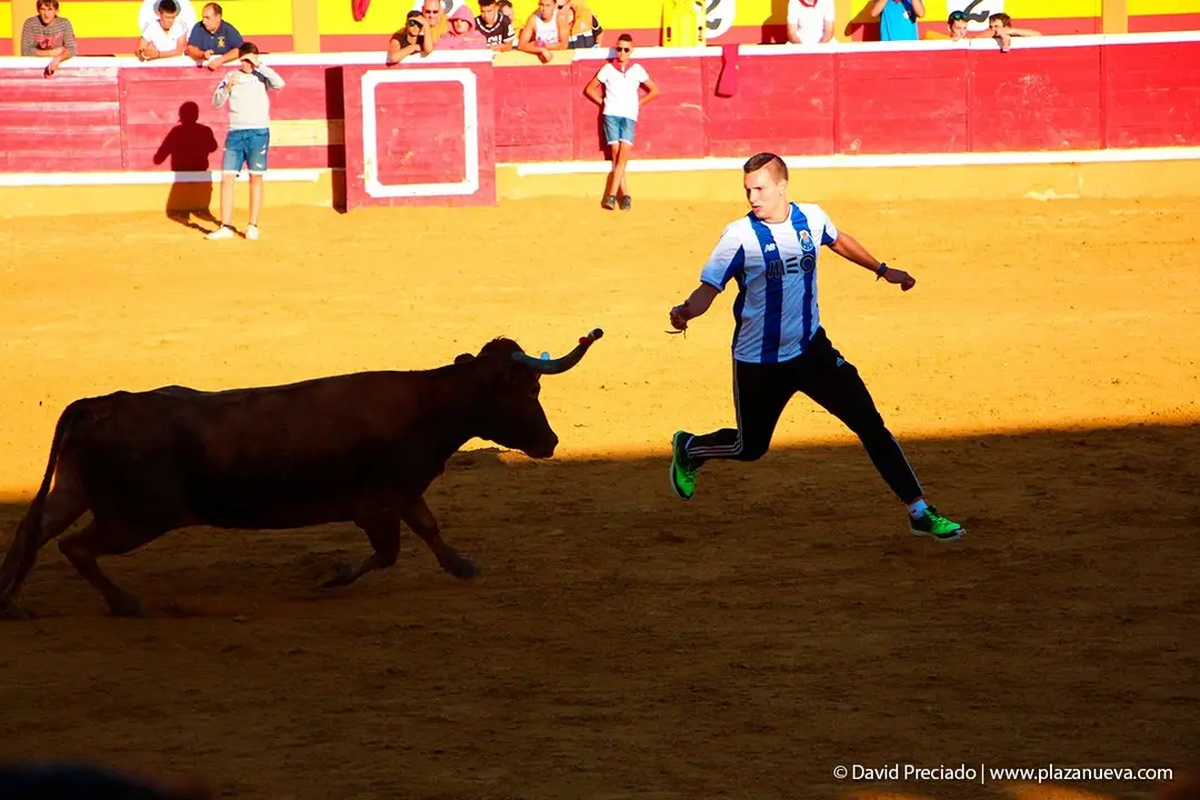 Fiestas de Tudela &rsquo;19, d&iacute;a 29 - Encierro y vacas en la plaza 32