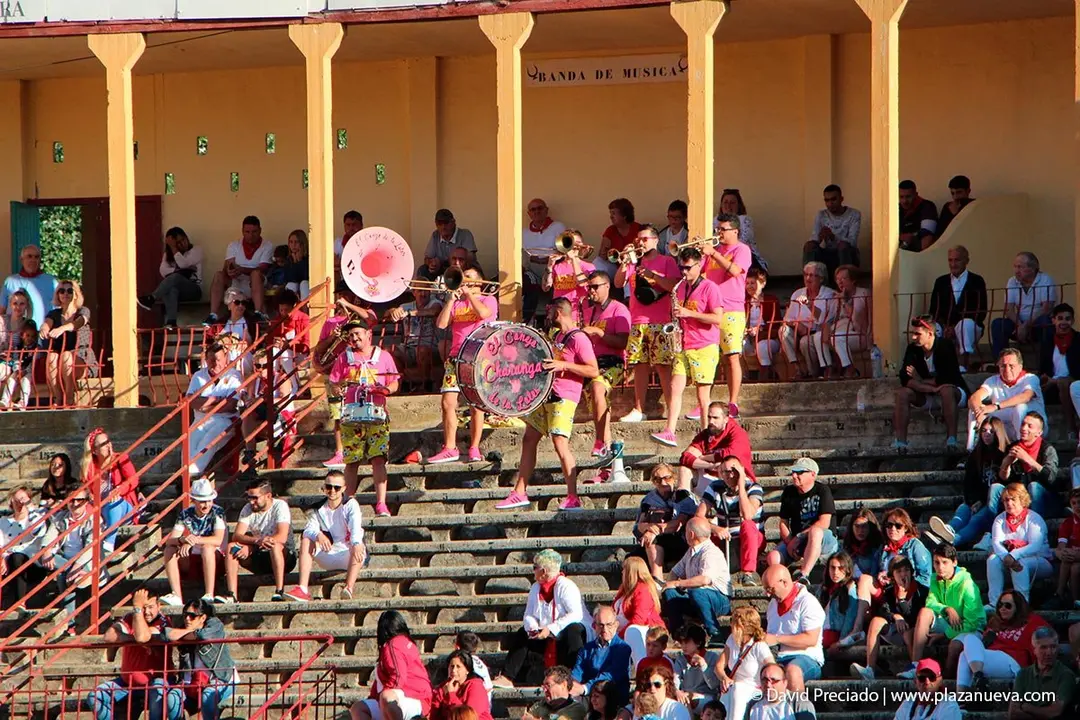 Fiestas de Tudela &rsquo;19, d&iacute;a 29 - Encierro y vacas en la plaza 36