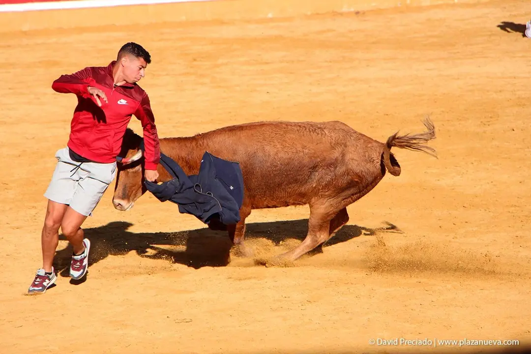 Fiestas de Tudela &rsquo;19, d&iacute;a 29 - Encierro y vacas en la plaza 41