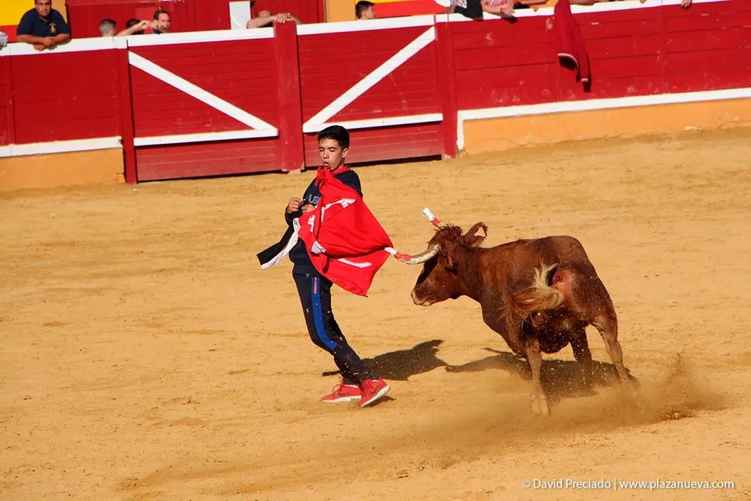 Fiestas de Tudela &rsquo;19, d&iacute;a 29 - Encierro y vacas en la plaza 46
