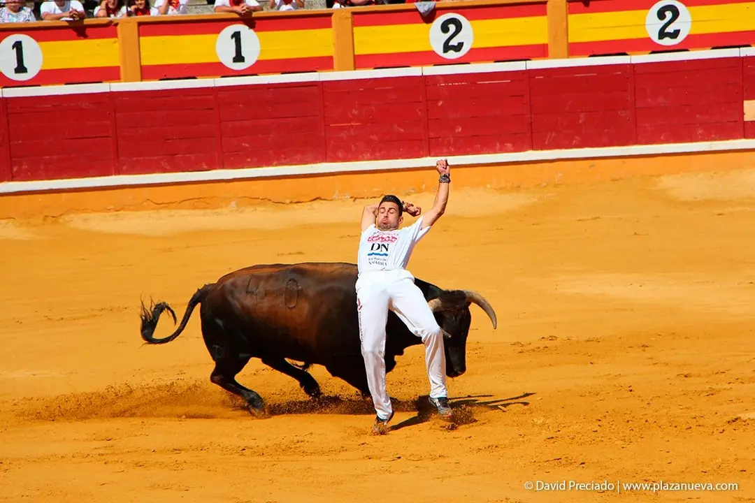 Fiestas de Tudela &rsquo;19, d&iacute;a 28 - Concurso de recortadores con toros en punta 3