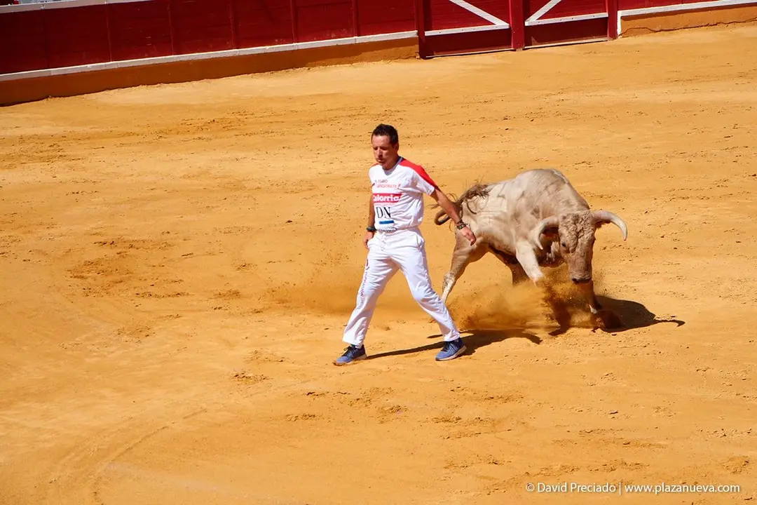 Fiestas de Tudela &rsquo;19, d&iacute;a 28 - Concurso de recortadores con toros en punta 5