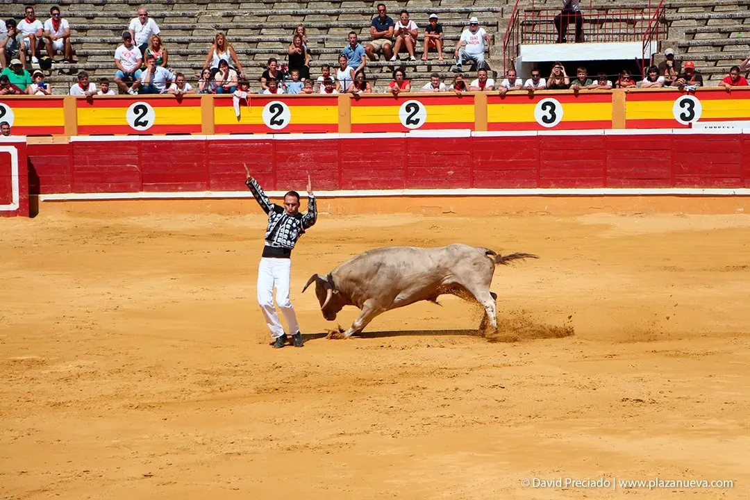 Fiestas de Tudela &rsquo;19, d&iacute;a 28 - Concurso de recortadores con toros en punta 6