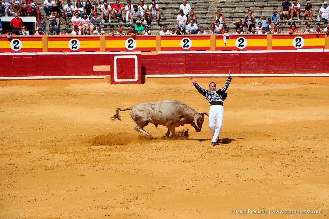 Fiestas de Tudela &rsquo;19, d&iacute;a 28 - Concurso de recortadores con toros en punta 8