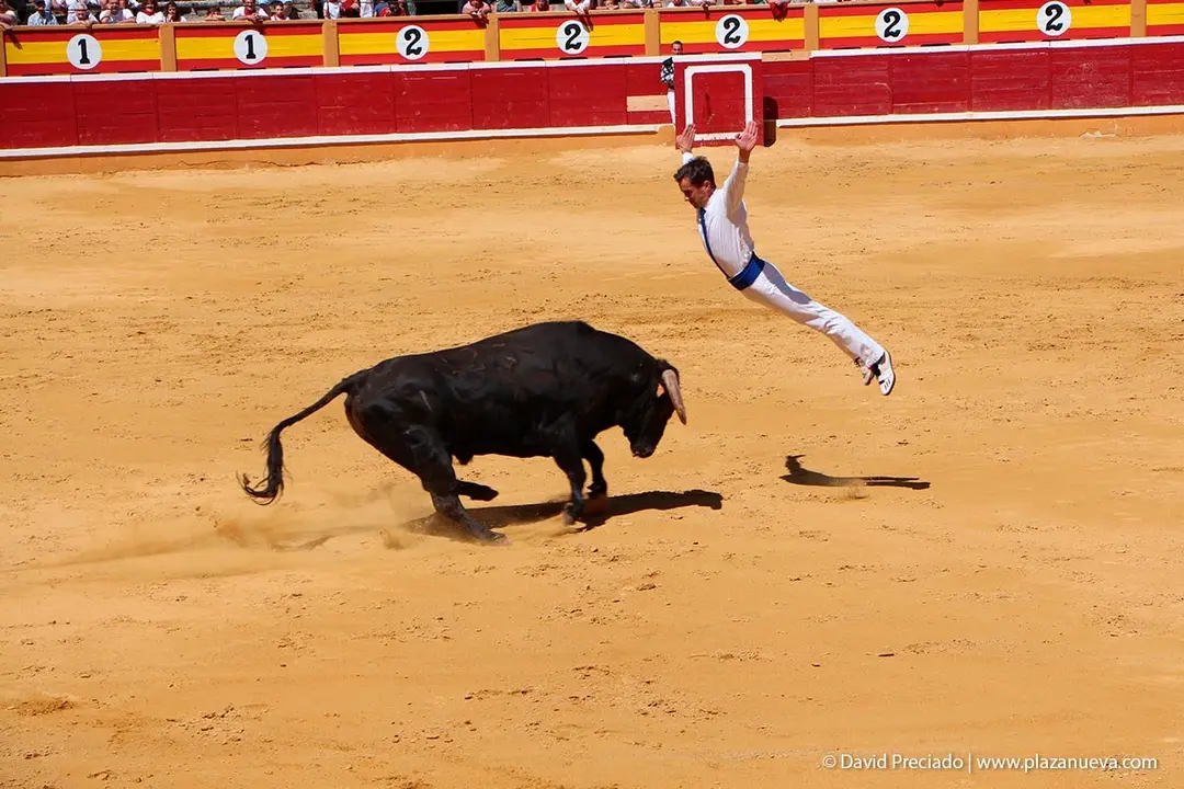 Fiestas de Tudela &rsquo;19, d&iacute;a 28 - Concurso de recortadores con toros en punta 9