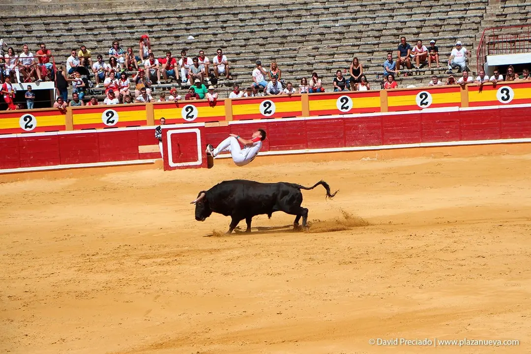 Fiestas de Tudela &rsquo;19, d&iacute;a 28 - Concurso de recortadores con toros en punta 10