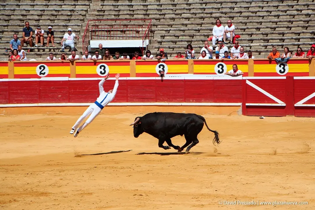Fiestas de Tudela &rsquo;19, d&iacute;a 28 - Concurso de recortadores con toros en punta 11