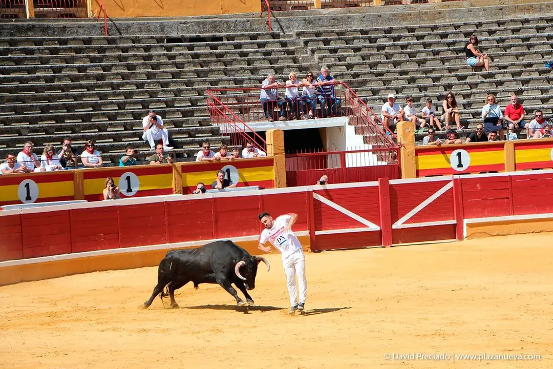 Fiestas de Tudela &rsquo;19, d&iacute;a 28 - Concurso de recortadores con toros en punta 12