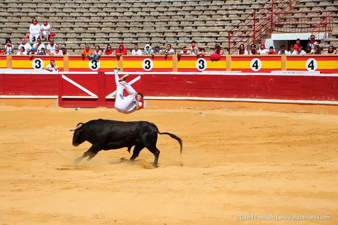Fiestas de Tudela &rsquo;19, d&iacute;a 28 - Concurso de recortadores con toros en punta 13