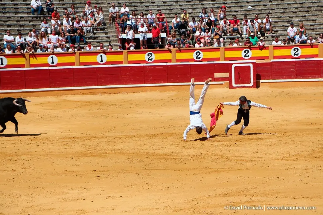 Fiestas de Tudela &rsquo;19, d&iacute;a 28 - Concurso de recortadores con toros en punta 14