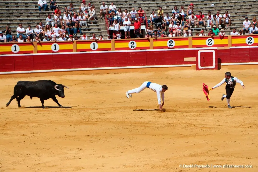 Fiestas de Tudela &rsquo;19, d&iacute;a 28 - Concurso de recortadores con toros en punta 15