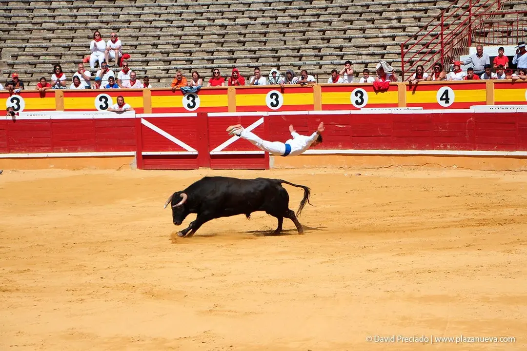 Fiestas de Tudela &rsquo;19, d&iacute;a 28 - Concurso de recortadores con toros en punta 17