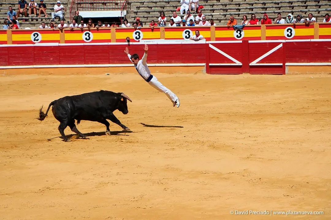 Fiestas de Tudela &rsquo;19, d&iacute;a 28 - Concurso de recortadores con toros en punta 21