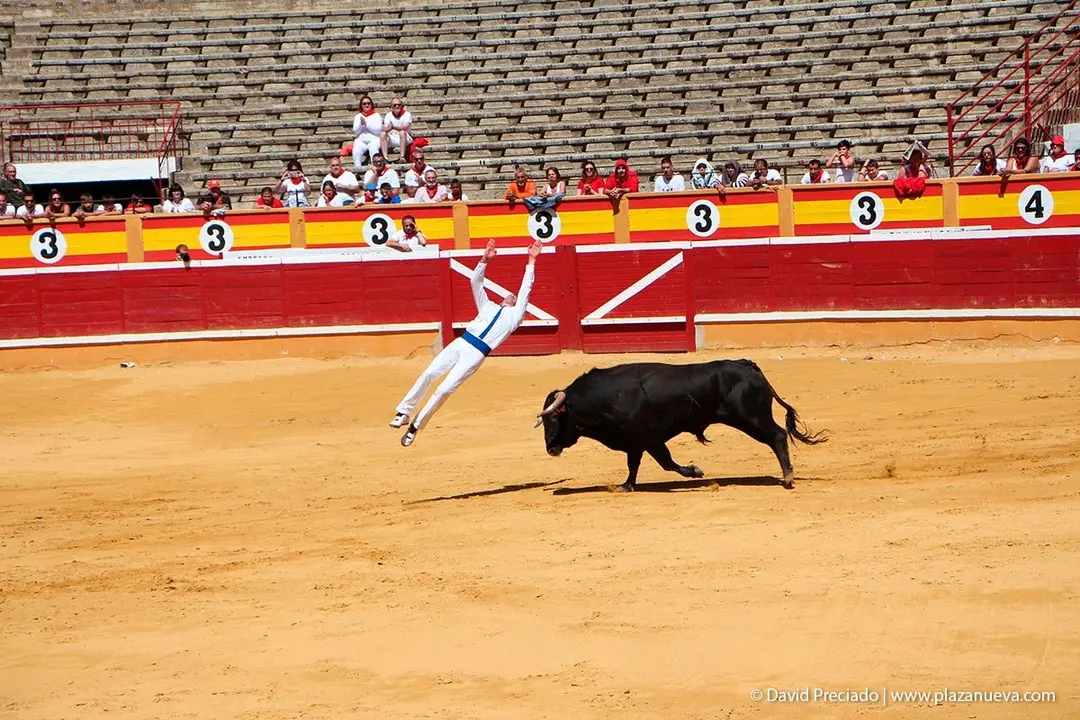 Fiestas de Tudela &rsquo;19, d&iacute;a 28 - Concurso de recortadores con toros en punta 22