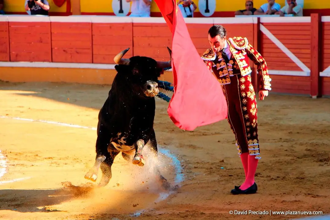Fiestas de Tudela &rsquo;19, d&iacute;a 28 - Corrida de toros con Finito de C&oacute;rdoba, L&oacute;pez Sim&oacute;n y To&ntilde;ete 5
