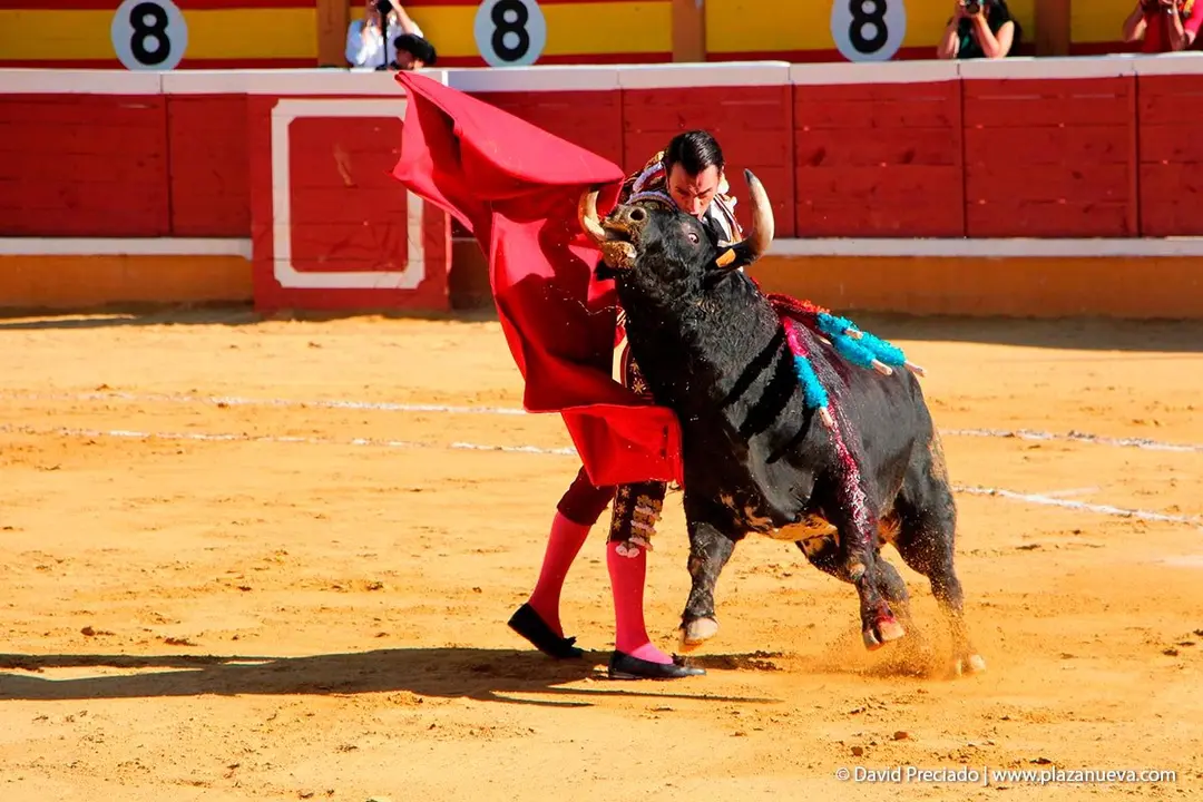 Fiestas de Tudela &rsquo;19, d&iacute;a 28 - Corrida de toros con Finito de C&oacute;rdoba, L&oacute;pez Sim&oacute;n y To&ntilde;ete 7