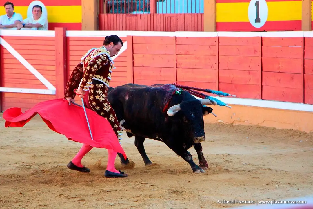 Fiestas de Tudela &rsquo;19, d&iacute;a 28 - Corrida de toros con Finito de C&oacute;rdoba, L&oacute;pez Sim&oacute;n y To&ntilde;ete 8