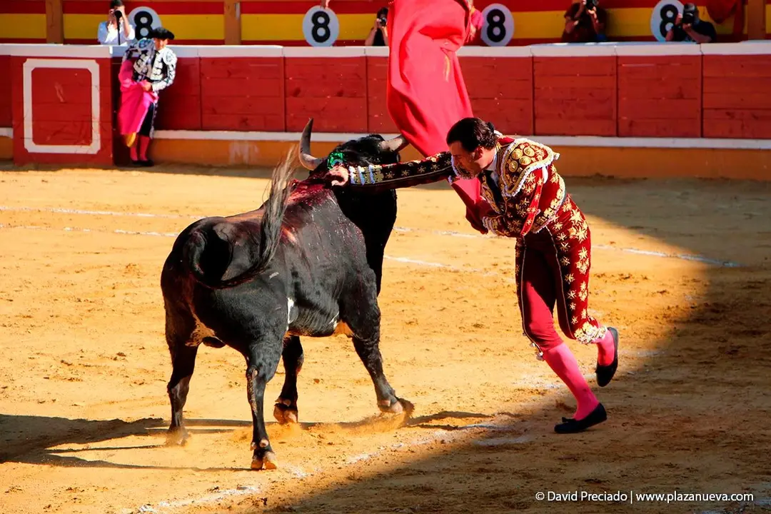 Fiestas de Tudela &rsquo;19, d&iacute;a 28 - Corrida de toros con Finito de C&oacute;rdoba, L&oacute;pez Sim&oacute;n y To&ntilde;ete 9