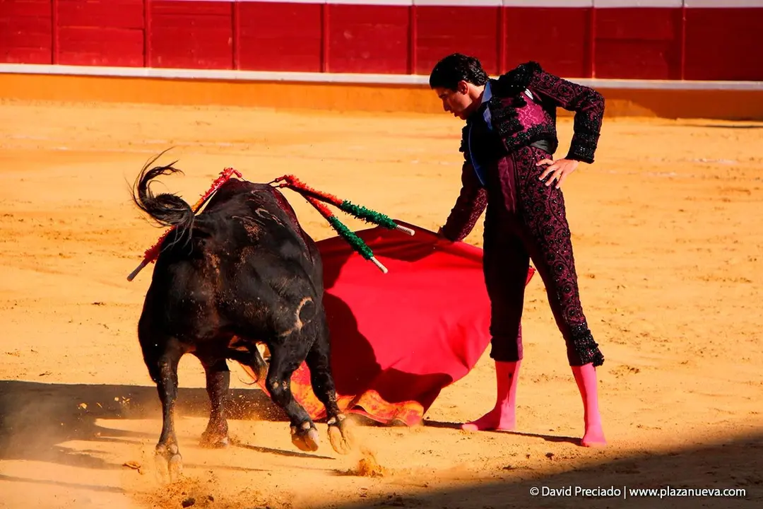 Fiestas de Tudela &rsquo;19, d&iacute;a 28 - Corrida de toros con Finito de C&oacute;rdoba, L&oacute;pez Sim&oacute;n y To&ntilde;ete 12