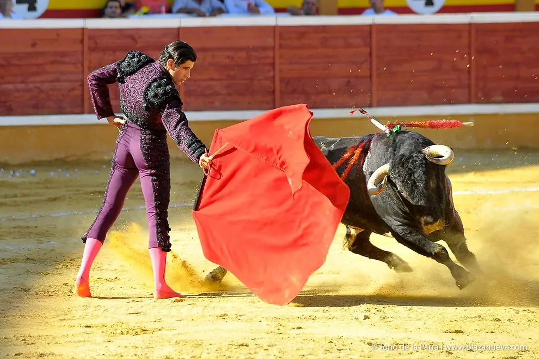 Fiestas de Tudela &rsquo;19, d&iacute;a 28 - Corrida de toros con Finito de C&oacute;rdoba, L&oacute;pez Sim&oacute;n y To&ntilde;ete 13