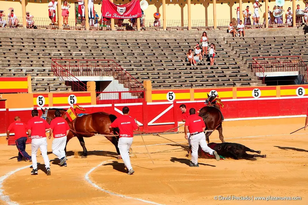 Fiestas de Tudela &rsquo;19, d&iacute;a 28 - Corrida de toros con Finito de C&oacute;rdoba, L&oacute;pez Sim&oacute;n y To&ntilde;ete 14