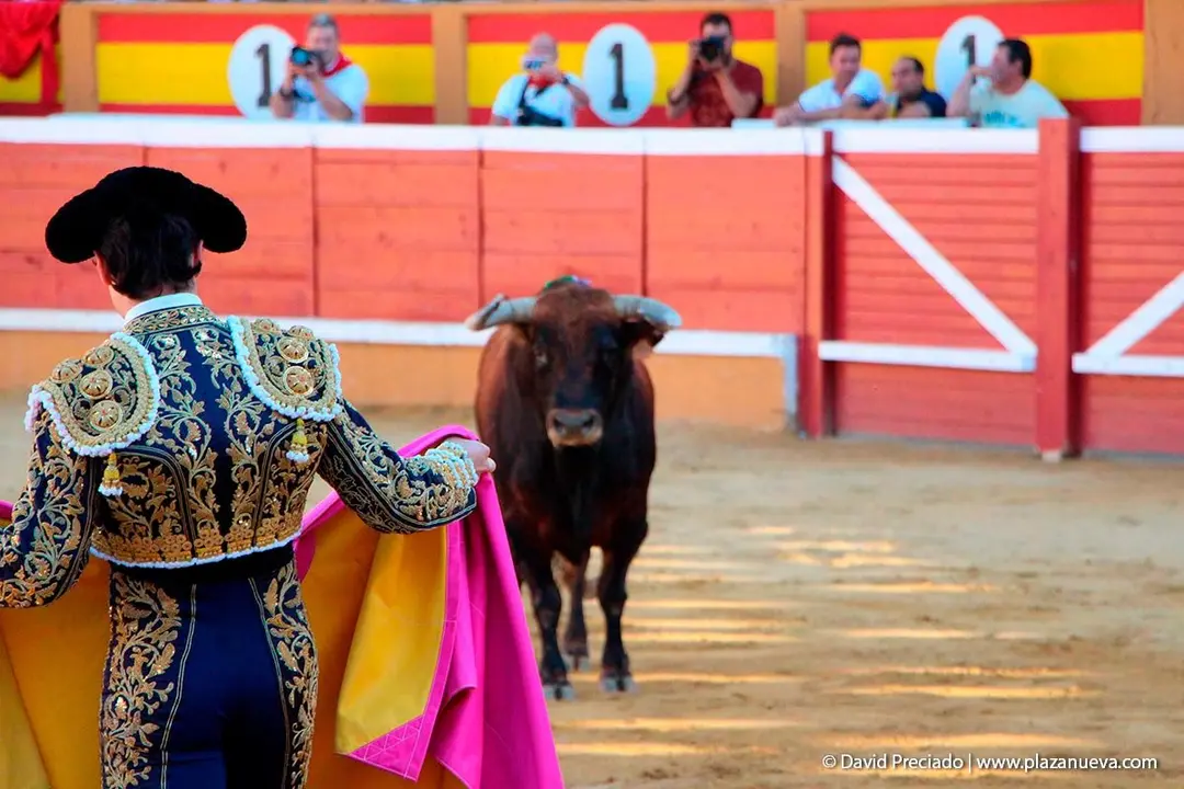 Fiestas de Tudela &rsquo;19, d&iacute;a 28 - Corrida de toros con Finito de C&oacute;rdoba, L&oacute;pez Sim&oacute;n y To&ntilde;ete 16