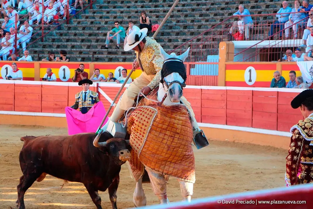 Fiestas de Tudela &rsquo;19, d&iacute;a 28 - Corrida de toros con Finito de C&oacute;rdoba, L&oacute;pez Sim&oacute;n y To&ntilde;ete 17
