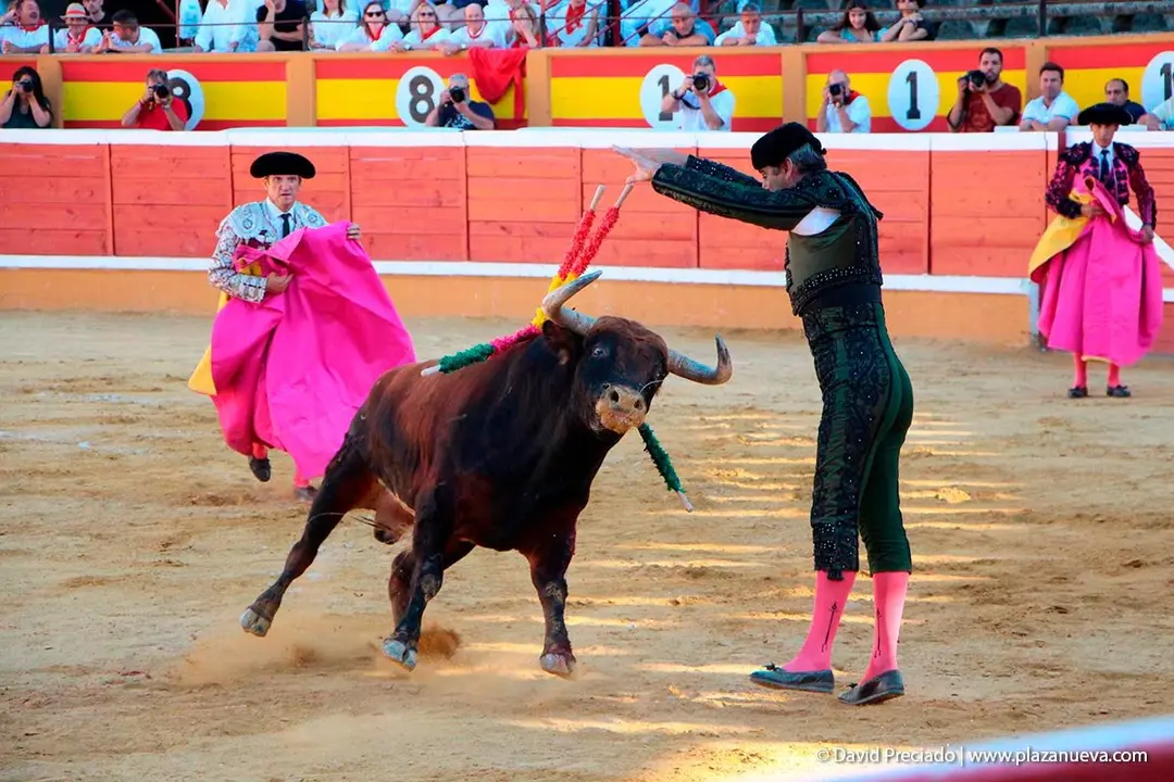 Fiestas de Tudela &rsquo;19, d&iacute;a 28 - Corrida de toros con Finito de C&oacute;rdoba, L&oacute;pez Sim&oacute;n y To&ntilde;ete 18
