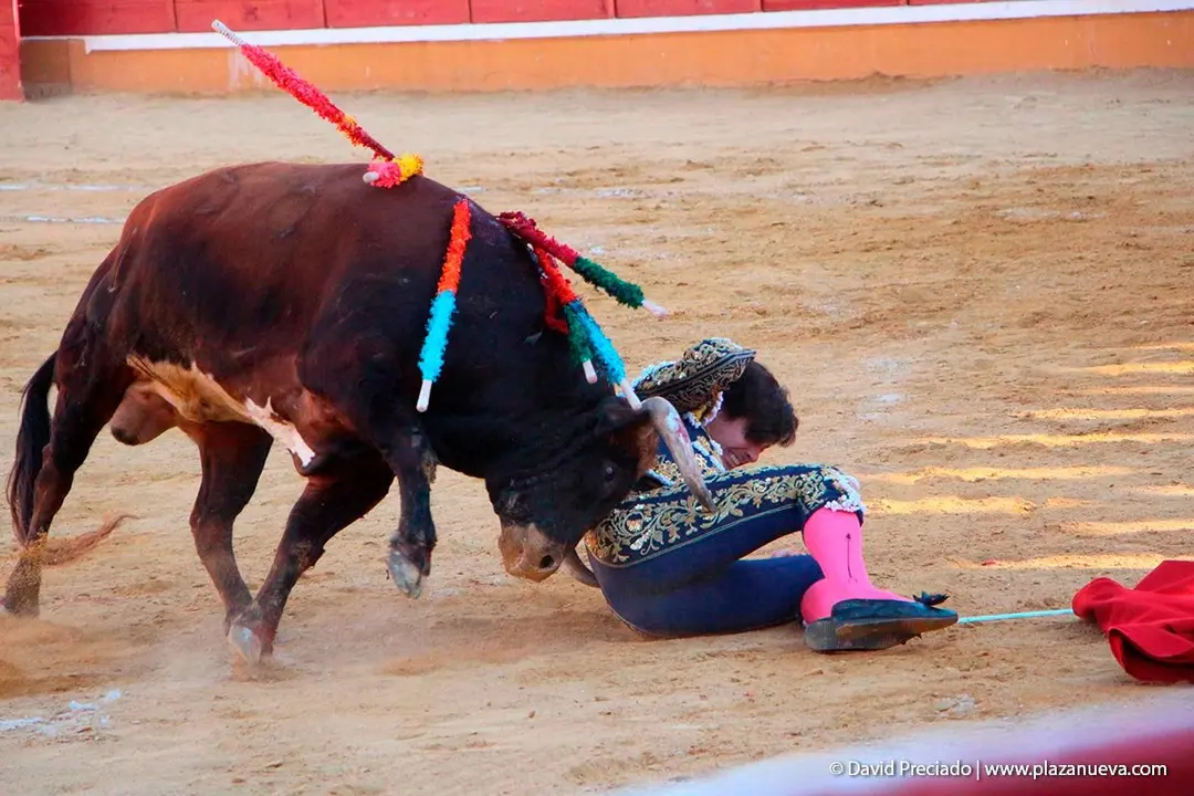 Fiestas de Tudela &rsquo;19, d&iacute;a 28 - Corrida de toros con Finito de C&oacute;rdoba, L&oacute;pez Sim&oacute;n y To&ntilde;ete 20