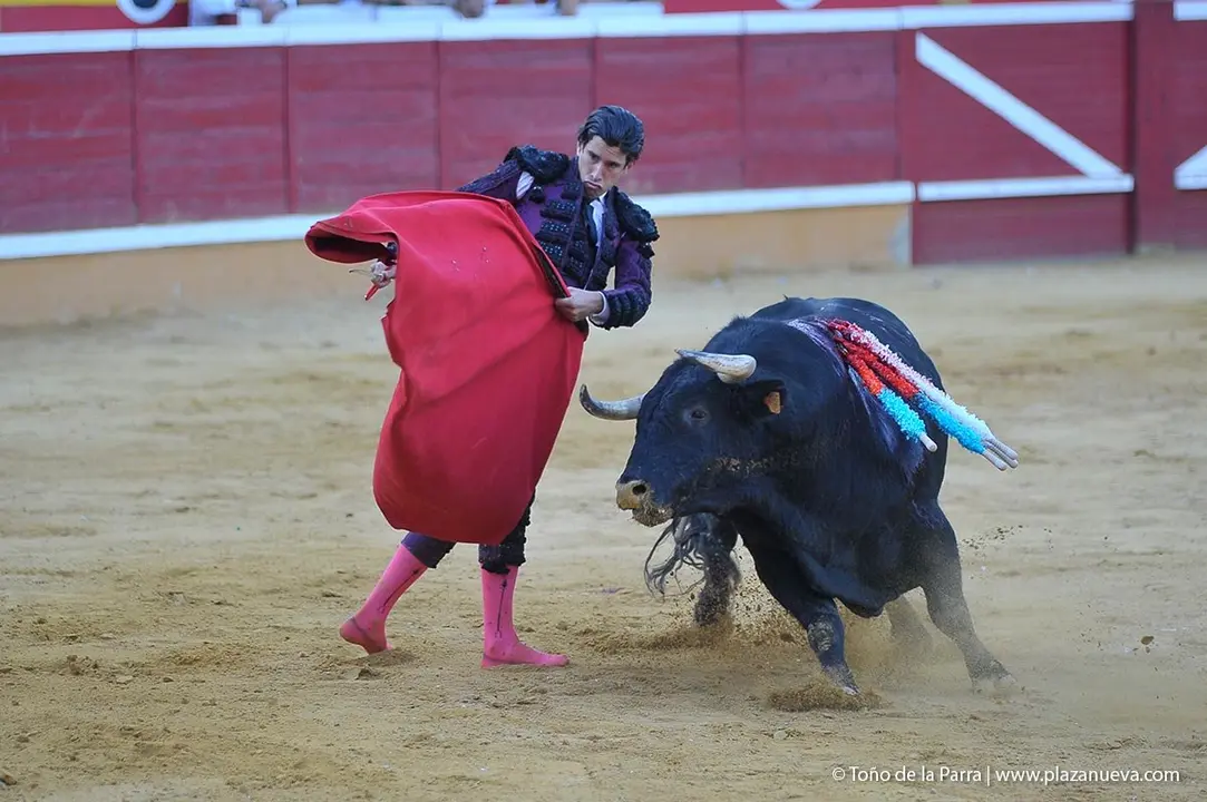 Fiestas de Tudela &rsquo;19, d&iacute;a 28 - Corrida de toros con Finito de C&oacute;rdoba, L&oacute;pez Sim&oacute;n y To&ntilde;ete 28